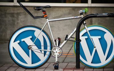 Descubre las diferencias entre WordPress y WordPress.com